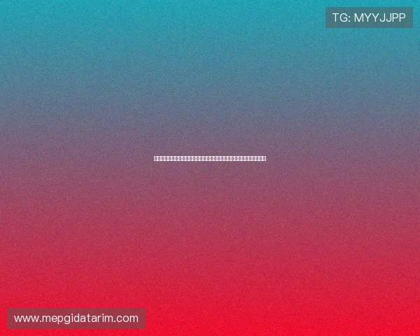 沙特与佛得角世界杯比赛前发布会重点内容详解球队最新动态与赛场准备 沙特与佛得角世界杯比赛前发布会重点内容详解球队最新动态与赛场准备